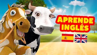 ¡Bartolito Turuleca Percherón y Lola ¡Aprendamos Inglés con Animales de La Granja El Reino Dice [upl. by Mian]