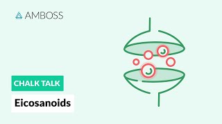 Eicosanoids Formation Function and Subclasses [upl. by Analat]