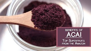 Benefits of Acai One of the Top Fruits from the Amazon [upl. by Feeney]