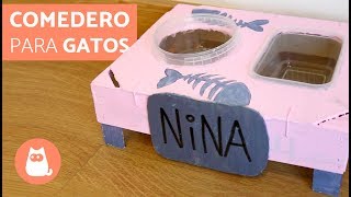 Comedero para GATOS casero y reciclado [upl. by Nomde]