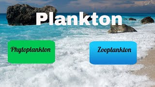 Difference between Zooplankton and Phytoplankton [upl. by Maibach251]