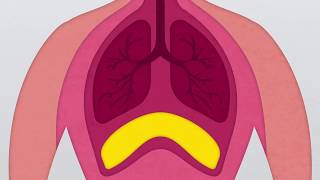 How to release the diaphragm properly [upl. by Durant]