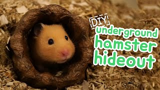 📦 Underground Hamster Hideout  HAMSTER DIY 📦 [upl. by Arnaldo642]