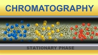 Chromatography Animation IQOGCSIC [upl. by Adian486]