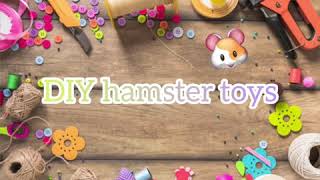 5 minute DIY hamster toys [upl. by Mazman]