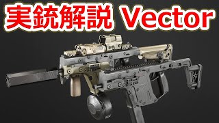 地味な詐欺商品 クリスベクター【実銃解説】NHG [upl. by Sawyere96]