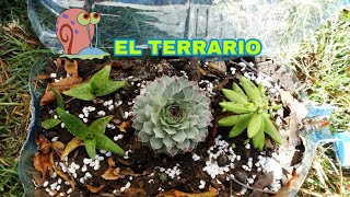 Como hacer un Terrario [upl. by Vittorio17]