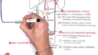 Pharmacology  Antihypertensives [upl. by Anirbys]