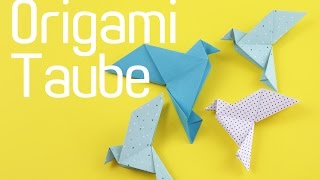 Origami Taube falten  Origami Vogel  Anleitung  Talude [upl. by Lehcyar]