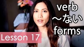 Learn Japanese  Minna No Nihongo Lesson 17 Grammar [upl. by Htieh]