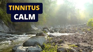 Tinnitus Relief Sound Therapy  Ambient River White Noise [upl. by Nahor]