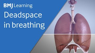 Basics of ventilation Deadspace in breathing [upl. by Thomey228]