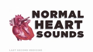 S1 Heart Sounds and Murmurs  First Heart Sound  Dr Najeeb🫀 [upl. by Zat]