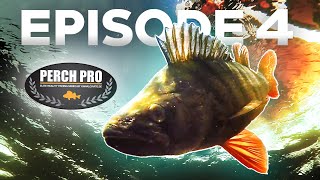 PERCH PRO 7  Episode 4 [upl. by Nagard]