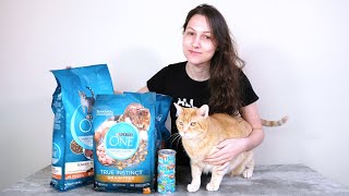 Purina ONE Cat Food Review We Tried It [upl. by Lehcer]