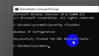 How to Clear and Flush DNS on Windows 11 [upl. by Vladimar]