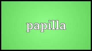 Papilla Meaning [upl. by Dara]