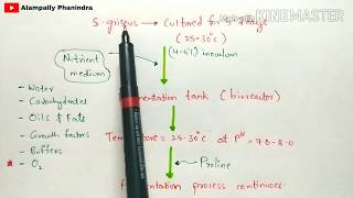 Production of streptomycin by fermentation  Procedure involved  Bio science [upl. by Nilekcaj]