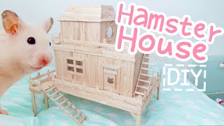 Popsicle Stick House ☆HAMSTER DIY☆ [upl. by French]