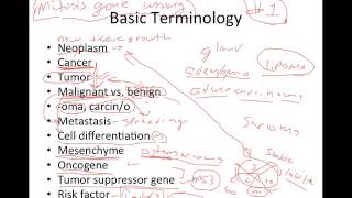 Introduction to Cancer [upl. by Etneciv]