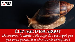 ESCARGOT Processus délevage [upl. by Ancell]