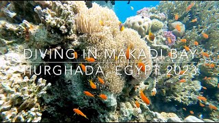 Red Sea Egypt Makadi Bay  January 2023 [upl. by Engamrahc]