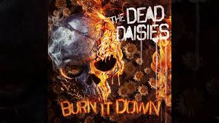 The Dead Daisies  Burn It Down [upl. by Timothee]