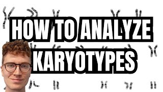 KARYOTYPE ANALYSIS [upl. by Allene]