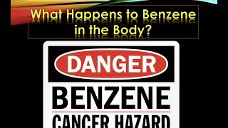 What Happens to Benzene in the Body [upl. by Kries]