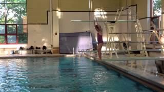 Teach a Flip for Springboard Diving [upl. by Chally]