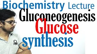 Gluconeogenesis pathway biochemistry [upl. by Frannie903]