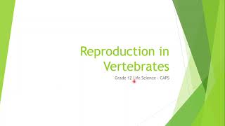 Grade 12 Life Science Reproduction in Vertebrates [upl. by Johnnie]