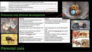 Grade 12 Life Sciences Reproduction in vertebrates [upl. by Anerat]