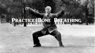 Taoist Masters and the Legacy of Bone Breathing [upl. by Pelag]