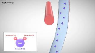 elektrische Polarisation erklärt [upl. by Llenrad46]