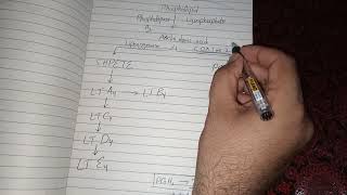 Arachidonic Acid Metabolism and Function [upl. by Addiel262]