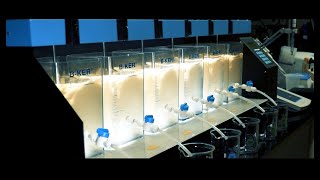 Jar Test Procedure for Water Treatment [upl. by Demeter]