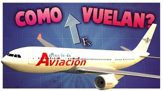 ¿Cómo hace un avión para volar [upl. by Nnelg]