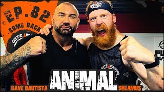 Dave Bautista The Animal  Ep82 MMA Cardio Workout [upl. by Eneryt251]