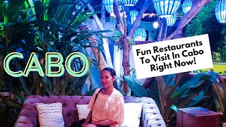 4 Fun Restaurants To Visit in Cabo  Cabo Foodie Travel Guide [upl. by Nathalie]