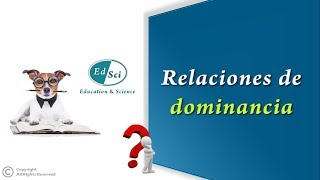 🤔 Relaciones de dominancia 💯✅ [upl. by Eiresed]