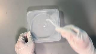 Microfluidics 101 How to Make PDMS [upl. by Fugazy]