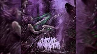 Infant Annihilator  Motherless Miscarriage Album Version 2016 w LYRICS [upl. by Homerus]