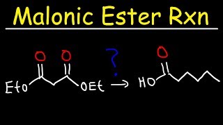 Malonic Ester Synthesis Reaction Mechanism [upl. by Ajssatsan740]