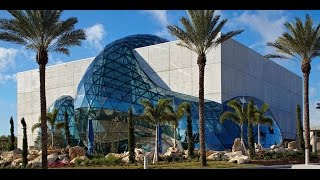 The Dali Museum An Unparalleled Experience [upl. by Sairtemed]