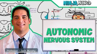 Neurology  Autonomic Nervous System [upl. by Kerat]