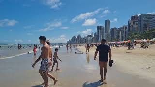 RECIFE BEACH BRAZIL brazilbrasilwithrenatalopes [upl. by Buller]