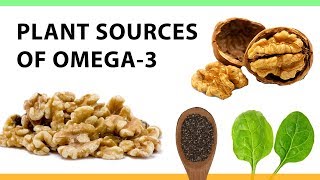 Plant Sources of Omega3 [upl. by Ellette480]