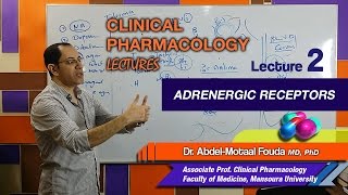 Autonomic Pharmacology Ar  Lec 02  Adrenergic Receptors [upl. by Thrasher]