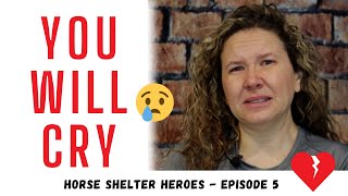 Horse Shelter Heroes  S2E5  Full Episode [upl. by Aihcropal]